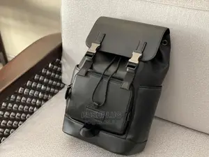 Coach Luxury Leather Backpack