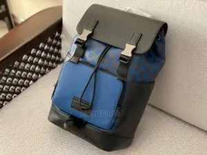 Coach Luxury Leather Backpack