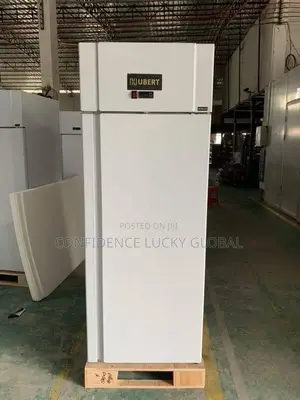 Industrial Stainless Steel Upright Freezer/Fridge
