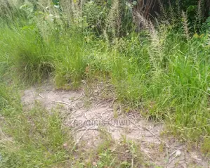 Massive Dry Lands for Sale at Mowo