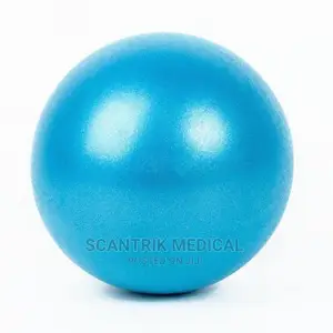 Portable Ball Exercise Gym Balance Ball Fitness Body