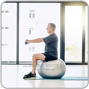 Ball Exercise Gym Balance Ball Fitness Body