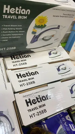 Portable Travel Iron