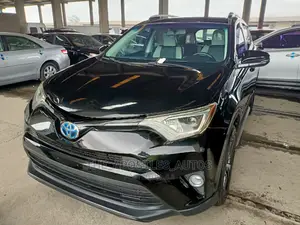 Toyota RAV4 XLE AWD (2.5L 4cyl 6A) 2016 Black