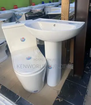 Luxury Home Water Closet
