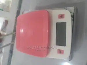 Portable Electronic Kitchen Digital Weighing Scale