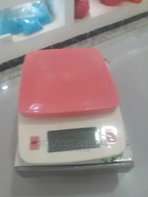 High Quality Electric Kitchen Scale, Measuring Scale, Food