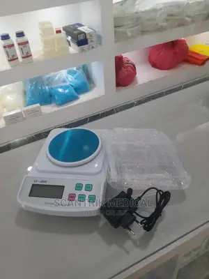 Portable Electronic Compact Weighing Scale