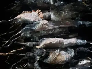 Steering Rack Lexus Is250, Gs350,Gs300