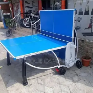 Outdoor Table Tennis Board (American Fitness)