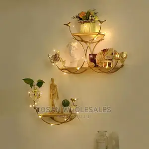 Double Butterfly Wall Shelf With Light