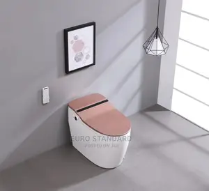 Censor Master Wc (All in One )