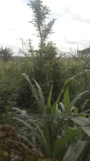 5HA of Table Land Karsana North Masshousing With LOI N400M