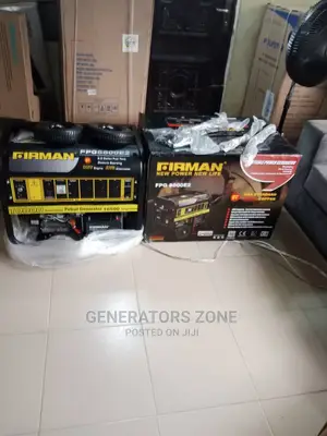 USA Standard Automatic Firman Fpg8800e2 Generator 10.5kva