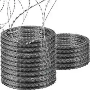 Security Fence