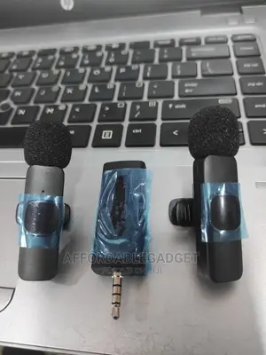 Double Wireless Microphone
