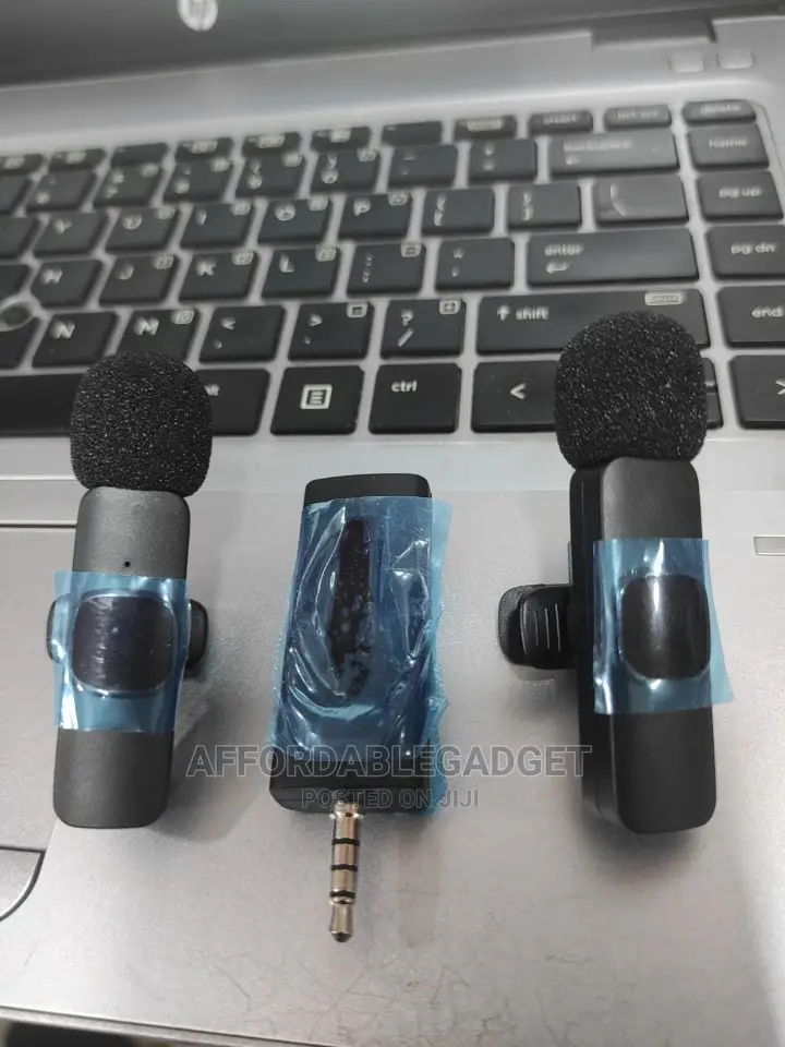 Double Wireless Microphone
