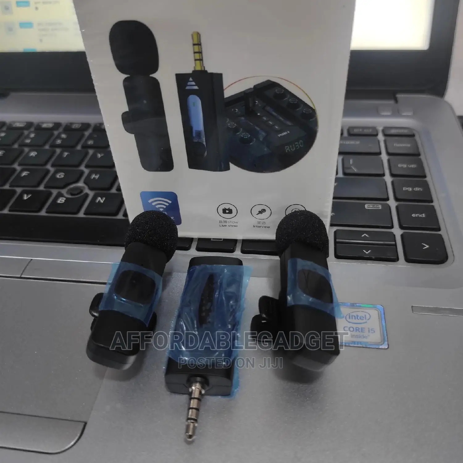 Double Wireless Microphone