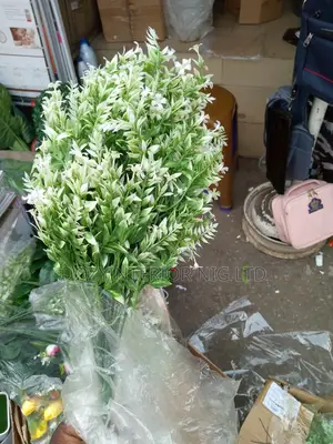 Bunch of Flowers