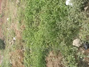 2300sqm Table Dry Land Facing the Express Lekki Phase1 N1.2B