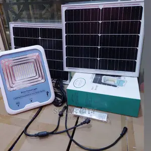 Solar Flood Light With Panel