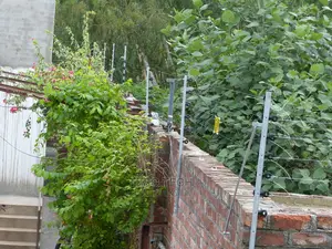 Fence Perimeter System by Teso Tech
