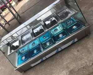 Professional Food Warmer