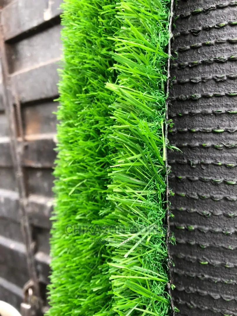 Chikasonworld_interio Grass