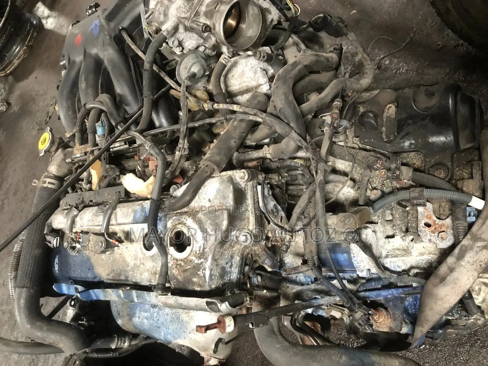 Es330 3mz Lexus Engine