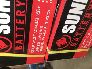 Sunfit Battery for Cars