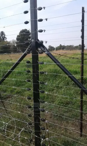 Electric Security Fence