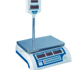 Measuring Scale