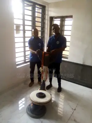 Fumigation And Cleaning