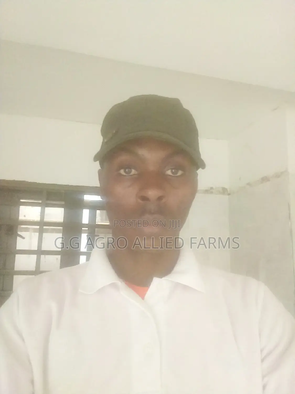 Fumigation And Cleaning