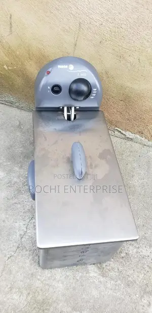 Stainless Steel Deep Fryer