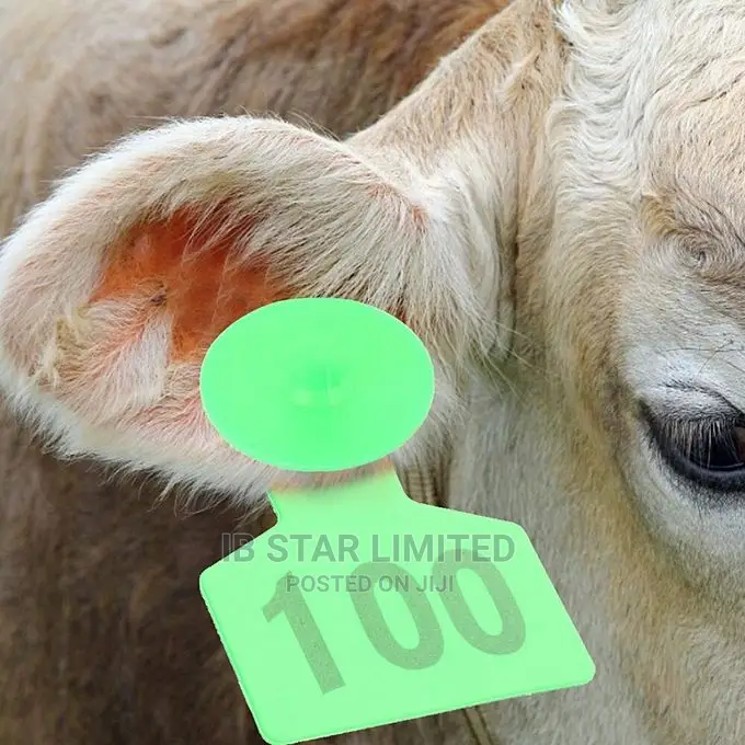 Animals 001-100 Identification Kit Ear Tag Pliers