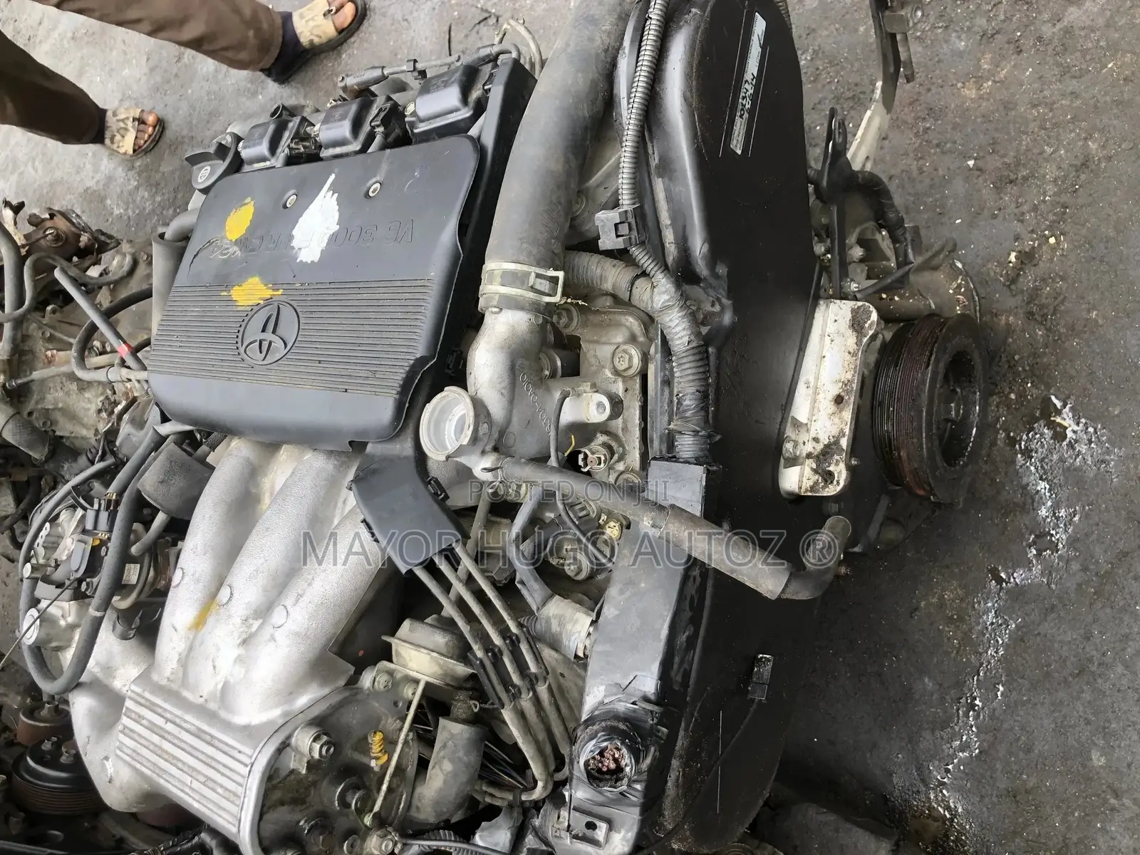 Sienna Engine