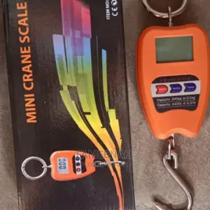 Mini Crane Scale/ Hanging Scale 200kg