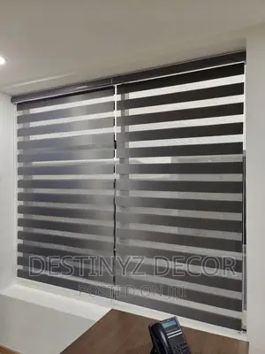 Day and Night Window Blinds
