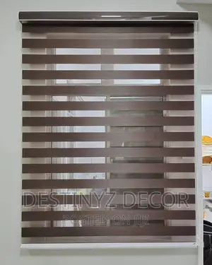 Day and Night Window Blinds
