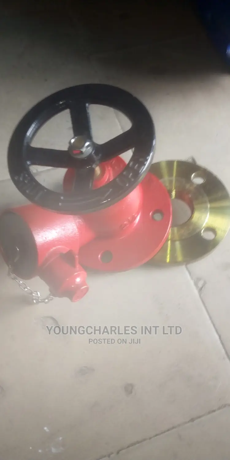 2'' Welded And Treaded Type Flange.