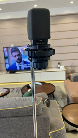 Akg C414 Microphone