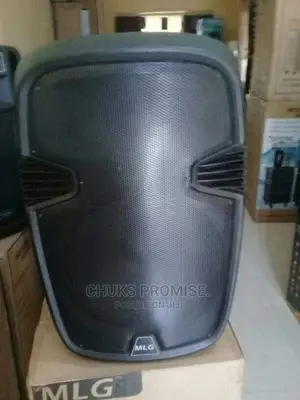 12inch PS System