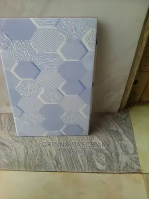 Kitchen and Toilets Wall Tiles