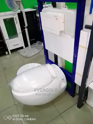 Wall Hung Water Closet Egg Shape Available Now