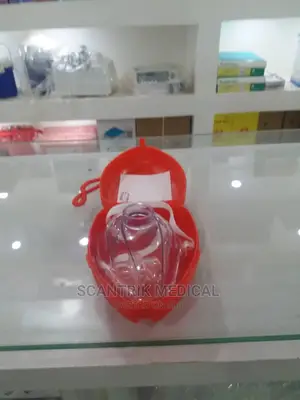Original Pocket Mask