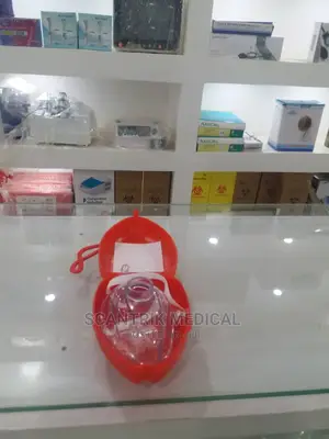Secure Fit Pocket Mask