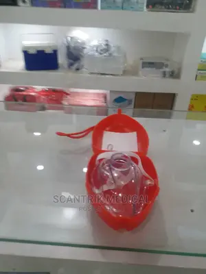 Necessary CPR Mask