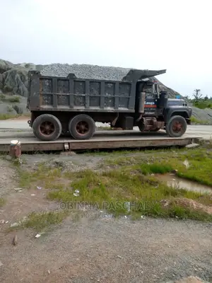 Chippings and Stones