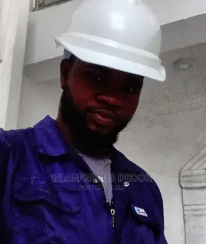 Proffesional Wall Screeding/Executive House Paintings in VI, Lagos.